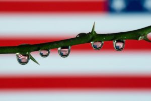 Thorns with American Flag in background