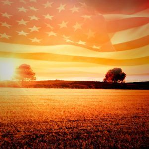 Digital image of American flag flying over wheat field