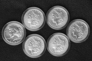 100th Anniversary 6-Piece Morgan and Peace Silver Dollar Set