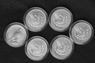 100th Anniversary 6-Piece Morgan and Peace Silver Dollar Set