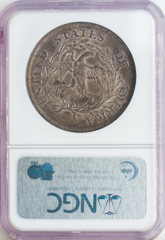 1797 Draped Bust $1 NGC AU50 CAC 1797 Draped Bust $1 NGC AU50 CAC