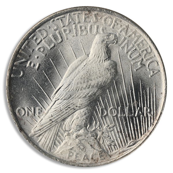 $1 Peace Dollar (Common Date, BU)