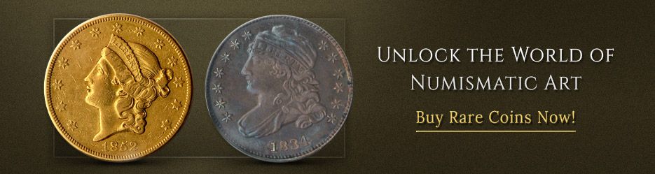 Unlock the World of Numismatic Art