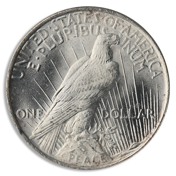 $1 Peace Dollar (Common Date, BU)