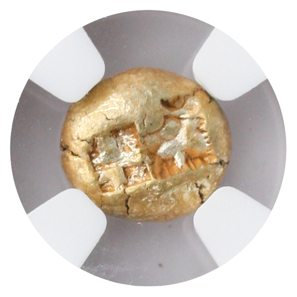550600 B.C. Hecte Ionia NGC ChVF Blanchard and Company
