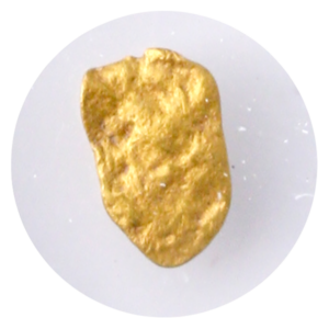 S.S. Central America Gold Nugget - .20 Grains