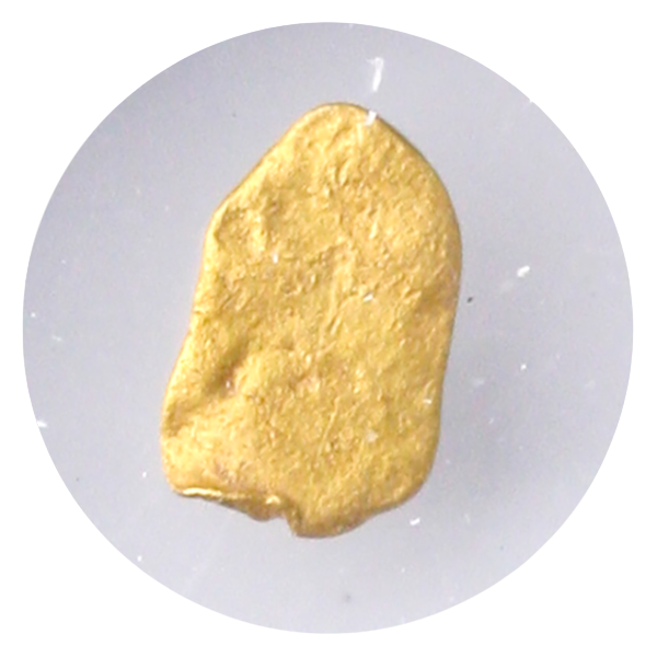 S.S. Central America Gold Nugget - .20 Grains