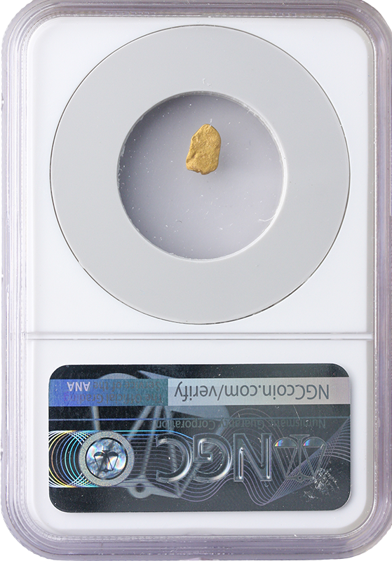 S.S. Central America Gold Nugget - .20 Grains