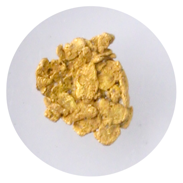S.S. Central America Gold Nugget - .21 Grains