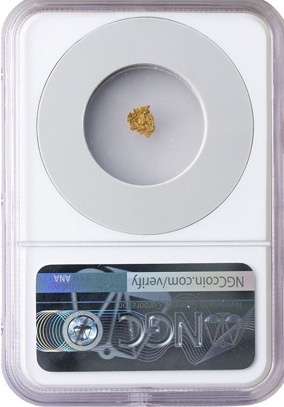 S.S. Central America Gold Nugget - .21 Grains