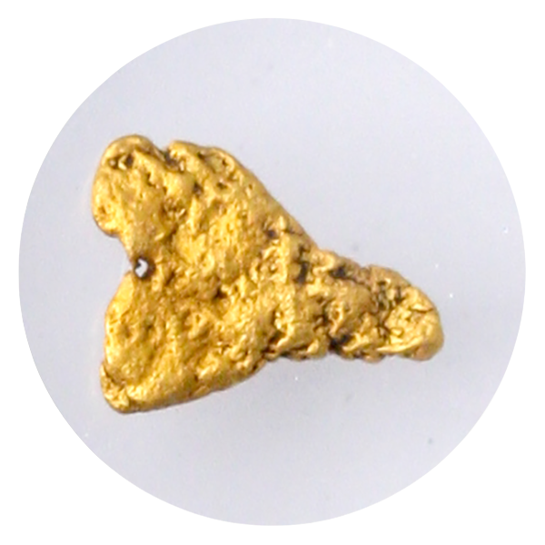 S.S. Central America Gold Nugget - .24 Grains