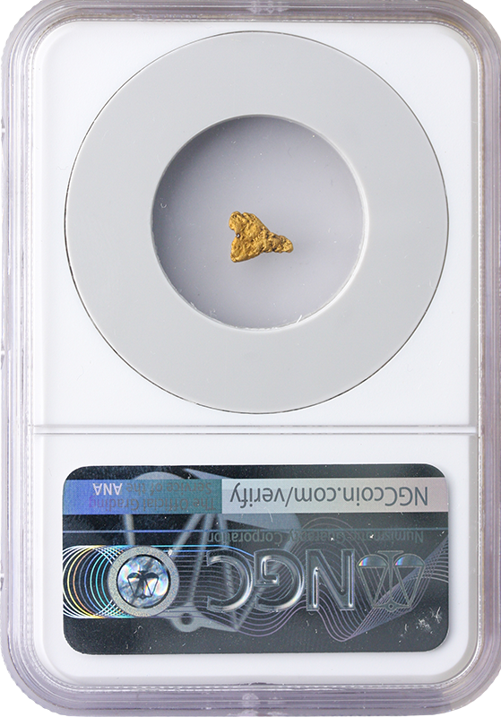 S.S. Central America Gold Nugget - .24 Grains