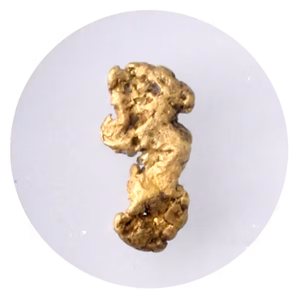 S.S. Central America Gold Nugget - .28 Grains