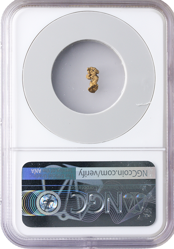 S.S. Central America Gold Nugget - .28 Grains