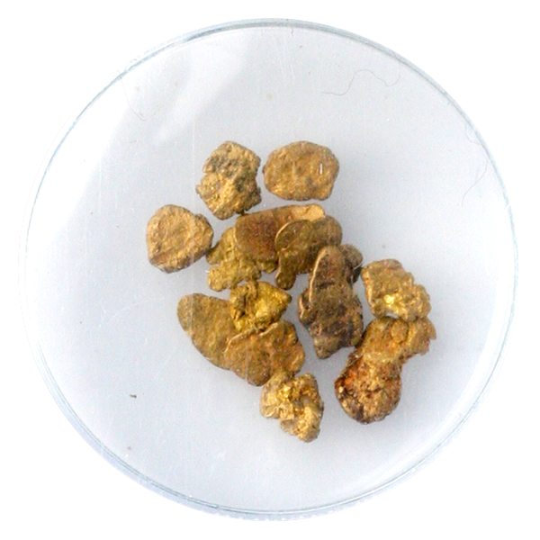 S.S. Central America Gold Nugget - .5 Grams