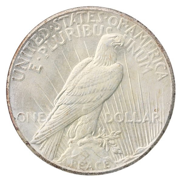1928 Peace $1 NGC MS65 CAC 1928 Peace $1 NGC MS65 CAC