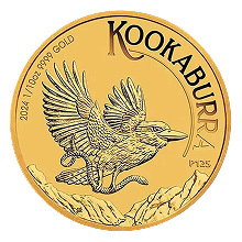 Kookaburra