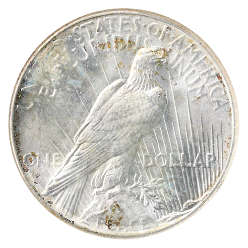 1928 Peace $1 NGC MS64 1928 Peace $1 NGC MS64