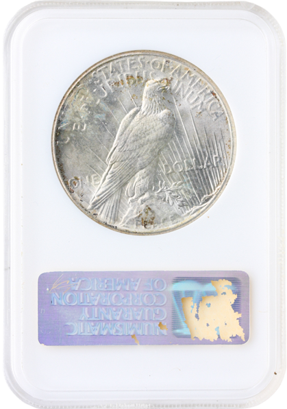 1928 Peace $1 NGC MS64 1928 Peace $1 NGC MS64
