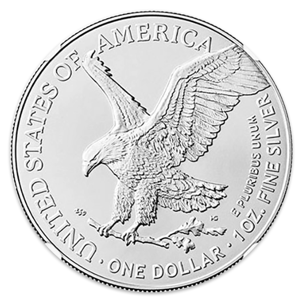 2025 1 oz Silver American Eagle -  Eagle Privy NGC MS70