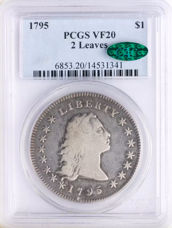 1795 Flowing Hair $1 2 Leaves PCGS VF20 CAC
