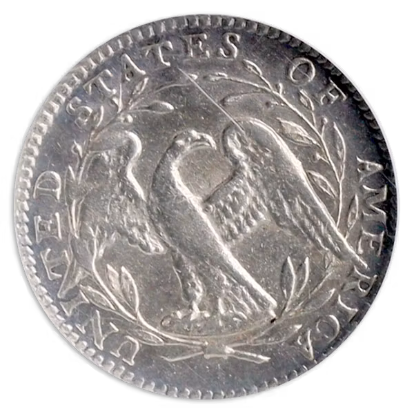 1795 Flowing Hair Half Dime