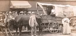 Ezra Meeker On The Oregon Trail